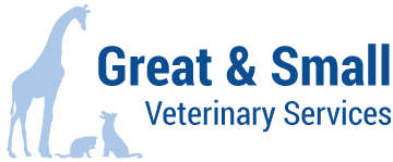 Great & Small Veterinary Services-Just another WordPress site